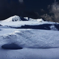 Il silenzio delle orme di 