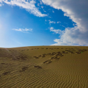 Sand Sea