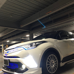 C-HR ZYX10