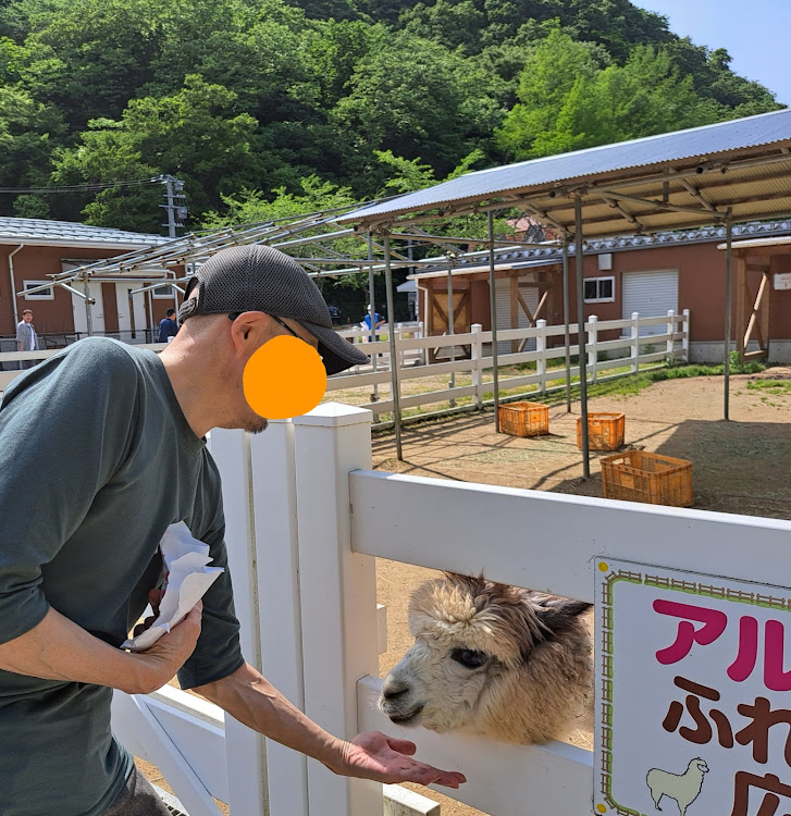 アルトワークスの新潟県・胎内市・樽ヶ橋遊園・アルパカ・道の駅胎内に関するカスタム事例の投稿画像5枚目