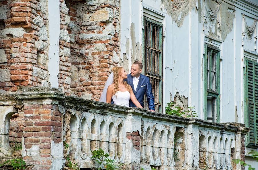 Fotografo di matrimoni Zsolt Drabik (drabikzsolt). Foto del 28 febbraio 2019