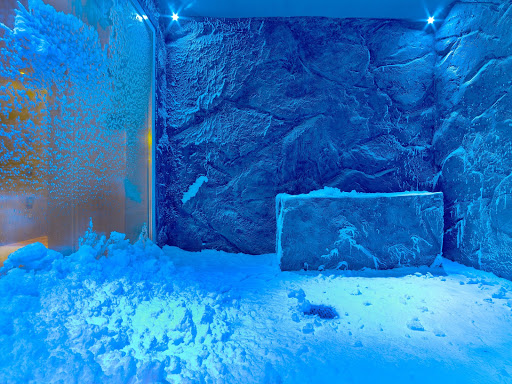 viking-snow-grotto.jpg - Step into the Snow Grotto in the spa of a Viking ocean ship for a bracing experience.