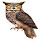 Owl Wallpaper HD New Tab