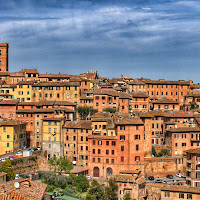 Siena di 