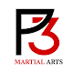 P3 Martial Arts Download on Windows