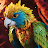 Wild Flying Macaw Parrot Game icon