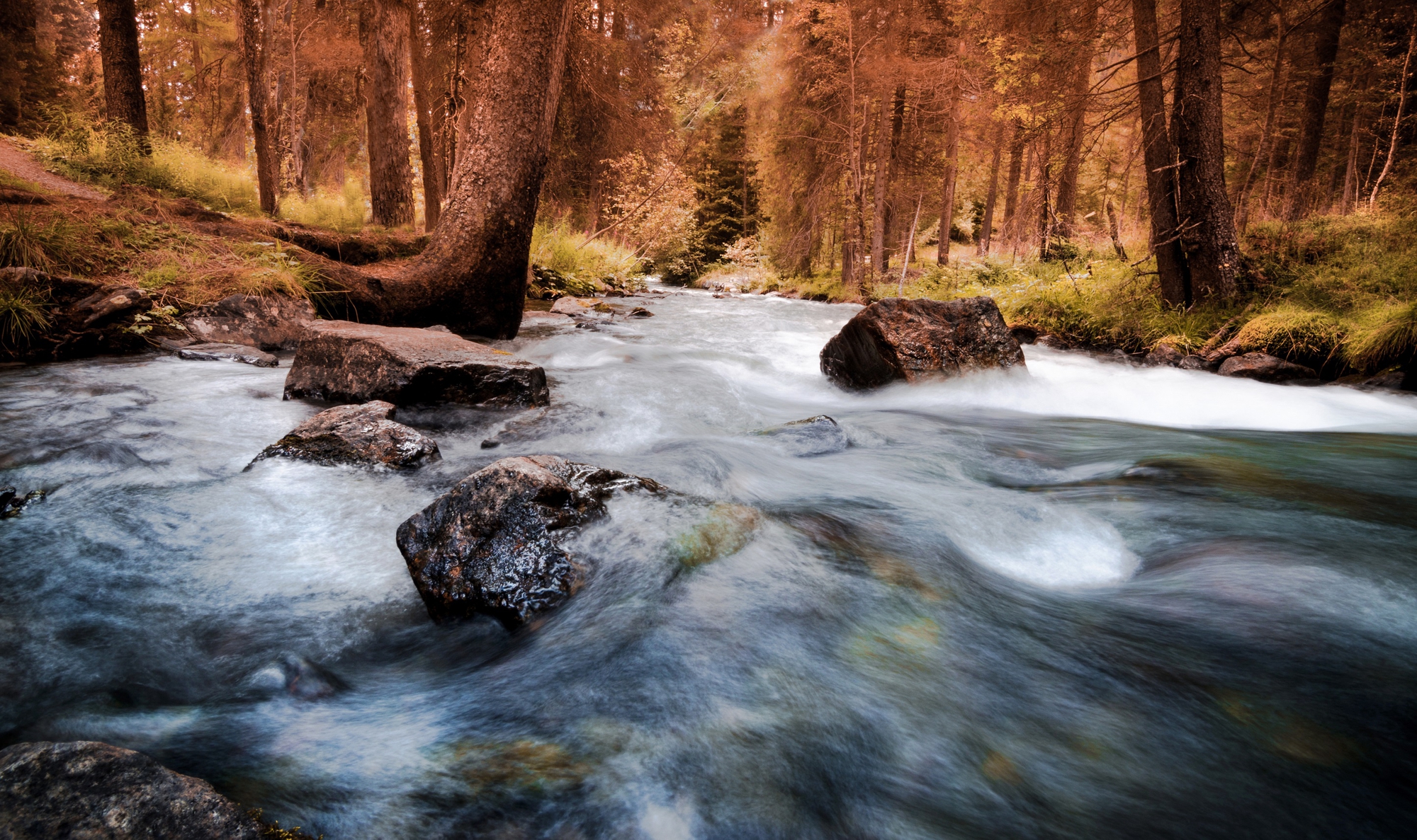 Torrente autunnale di Valentina D.