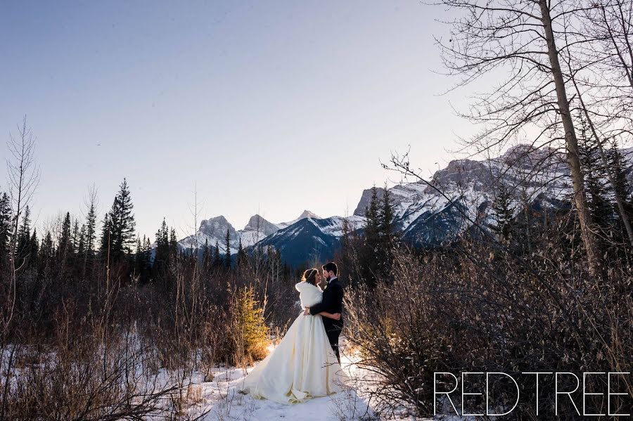 Wedding photographer Amy Moedt (amymoedt). Photo of 9 May 2019