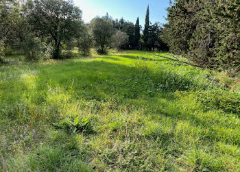 terrain à Grillon (84)