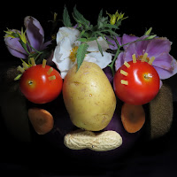 Arcimboldo di stagione di 