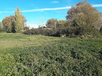 terrain à Sallèles-d'Aude (11)