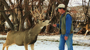 Touching the Wild thumbnail