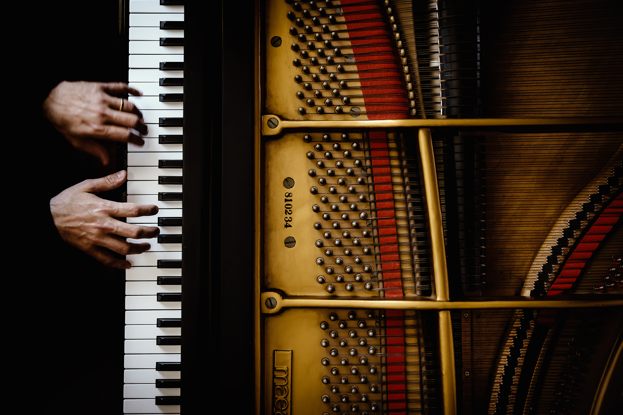 Il pianista di Sergio Rapagnà