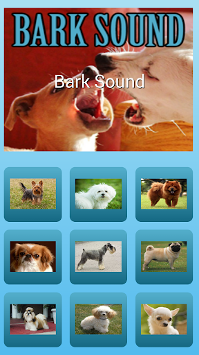 dogs barking  sound effects