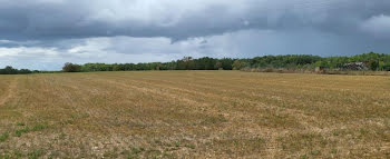 terrain à Champagnac-de-Belair (24)