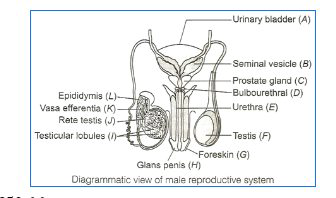 Solution Image