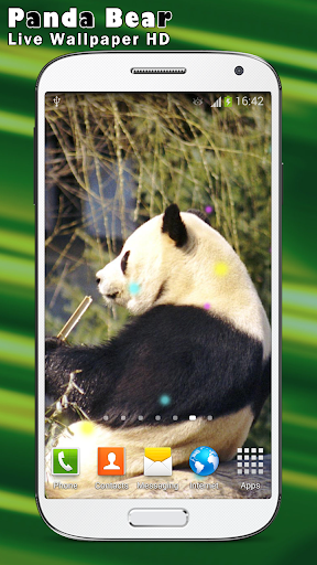 免費下載個人化APP|大熊貓動態壁紙 HD app開箱文|APP開箱王