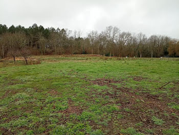 terrain à Rion-des-Landes (40)