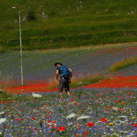 Estate ,esplosione di colori di 