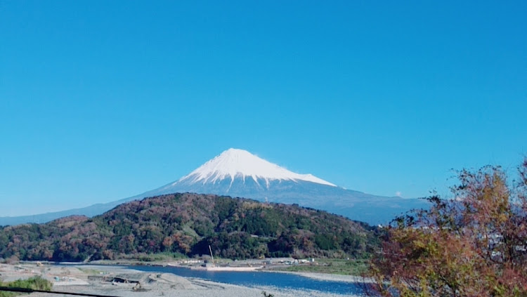 の投稿画像2枚目