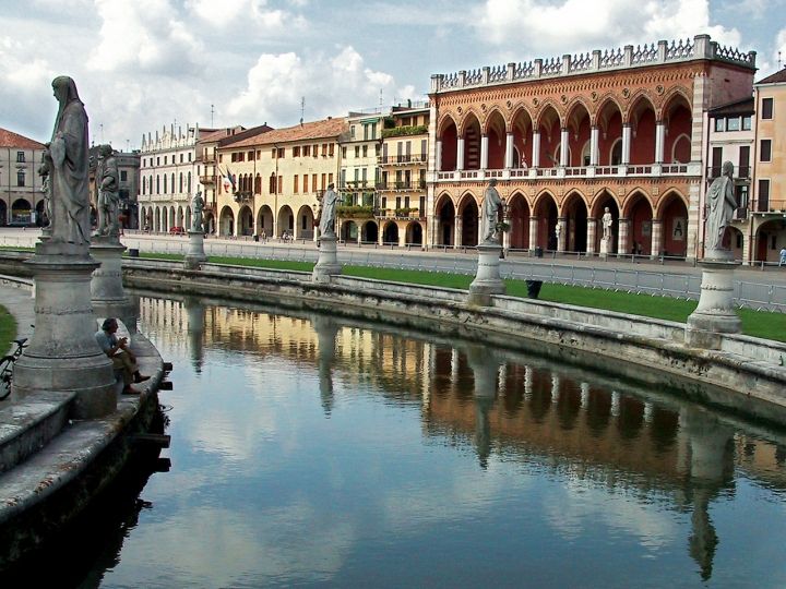 Padova di chico