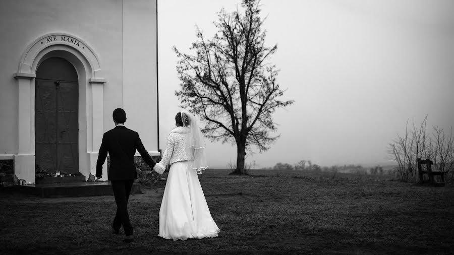 Wedding photographer Pavlina Golasowska (pgolasowska). Photo of 23 February 2021