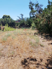 terrain à Beziers (34)