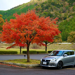 スイフトスポーツ ZC32S