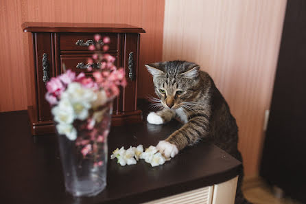 Fotografer pernikahan Aleksey Krasnoperov (alex2006). Foto tanggal 20 Maret 2017