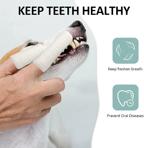 12pcs Pet Two-finger Brushing Finger Cots Puppy Teeth Oral Cleaning Tool Kitten Finger Toothbrush Pets Care Accessories 
