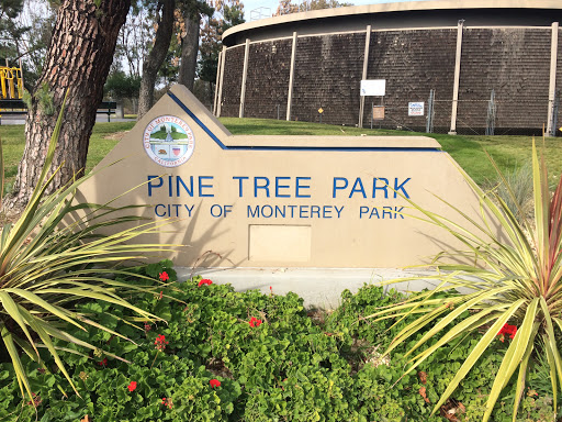 Pine Tree Park