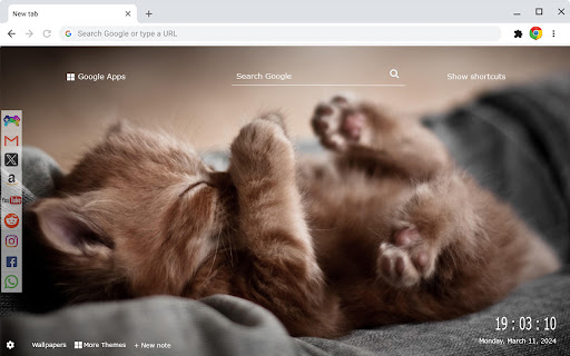 Cats and Kittens New Tab Extension