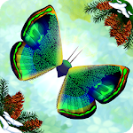 Cover Image of Baixar Flutter: Santuário de Borboletas 2.731 APK