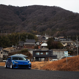 BRZ ZD8