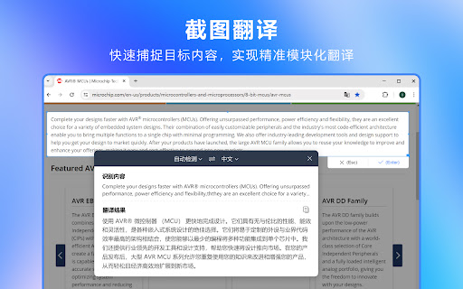 Fast Translation - Video | YouTube Preview 3