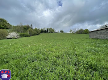 terrain à Roquefeuil (11)