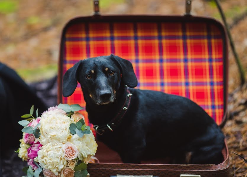 Wedding photographer Oksana Martynova (oksanamartynova). Photo of 13 June 2016