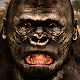 Download Ultimate Gorilla Simulator For PC Windows and Mac 0.1