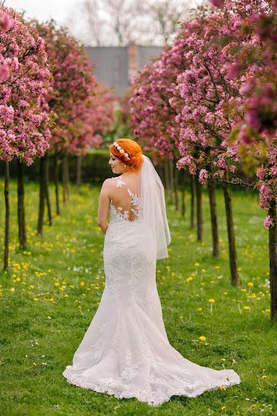 Photographe de mariage Ewa Niziałek (ewanizialek). Photo du 22 juin 2017