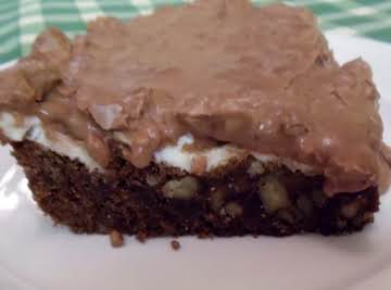 Mississippi Mud Cake