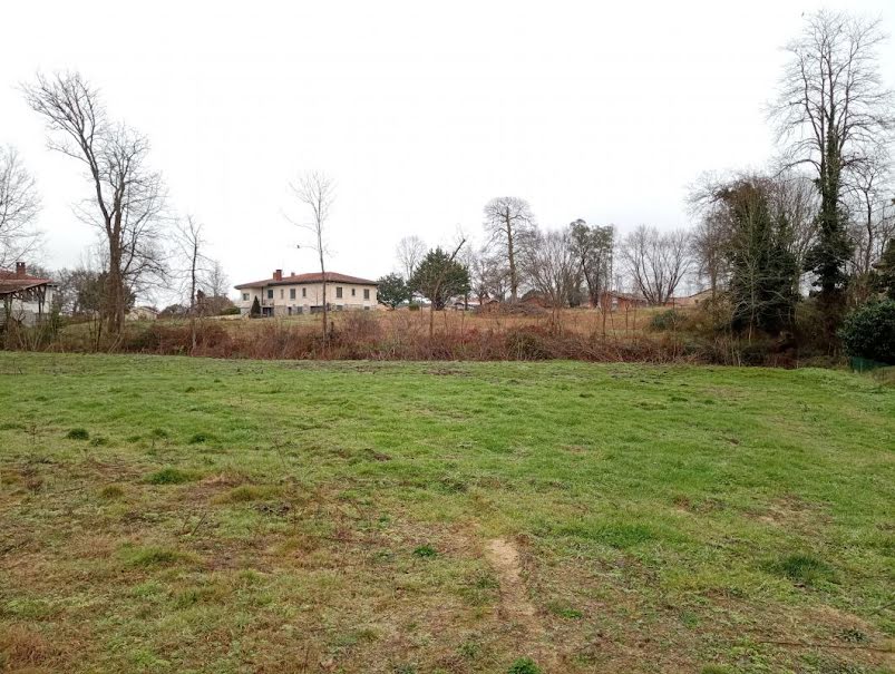 Vente terrain  1404 m² à Rion-des-Landes (40370), 78 650 €