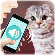 Cat Translator  Icon