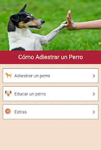 Cómo Adiestrar un Perro Screenshot