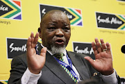 Mineral resources minister Gwede Mantashe says a dedicated team is needed to clamp down on illegal mining. File photo. 