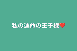 私の運命の王子様❤