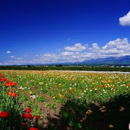 富田花園農場