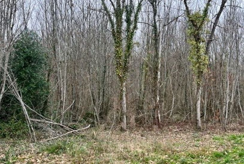  Vente Terrain à bâtir - 967m² à Razac-sur-l'Isle (24430) 