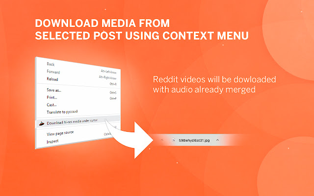 How to use the Video Downloader for Reddit Chrome extension in 4 steps -  Softonic