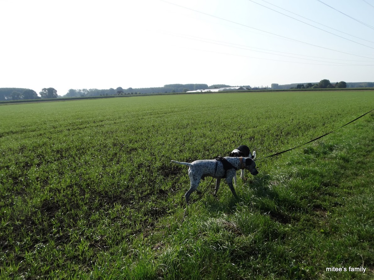  - Neva, jeune border collie ADOPTÉE   - Page 2 1qcXHieeO1W7uVOq2NIx6WDyayRRASXXV5ewrsEoGGhGWe7qwDYsPA6Q6XtsfxBj6OlX8RXWj7G00vWmdpPazjFtaFpVb7c4DJJKkbr7JNJuEQRMJKfBttdYk149_Bx4nI4gjw4eMu6sYVCnHPyGimjOaVTsJ4BDspVt29zTQLUgfdyhTDdyfANnCP_fwnLEK04OAf8TwqGh0_5sQs-EaJNzDvTOobKhktCURmQICrElcrxBYG_3EcnZF3RWOnlTAQ9HW8mNBQ4lMa9AEZ3GQR8p_2VVlEXRHoWRt8b1oNa1TYobxMkphXS6ISVNjbpd7B8VJ_h-Z7poTcDaMbG7EOopPzVBK3uoa2exH0U5wQbd1ZFPHk9oJemQ325uQau766vzz6uWwh81g5HoJcZlqBxI4Jz_HPUyDD2JFGgfJwJEh2BPSIm9fHFDJY1CWBYdrrwsqPni9N1rhtTMANd7R6nNDntdgeg6p_JBnMoOGoQNGvEPn4n-una0ep6NJYBJ0rrA68Ubule40YW1yugh3J0ZAAH_v20Usfl00gZz6lGUPL6qKcsyzsysSL2sIQjuFL-rlal5pW8rH1sbghZ3El2144s45LR4eUjFoDavsrQ=w1190-h892-no?pageId=102314735241138359955