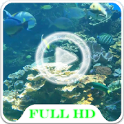 Aquarium Video LWP 1.0 Icon